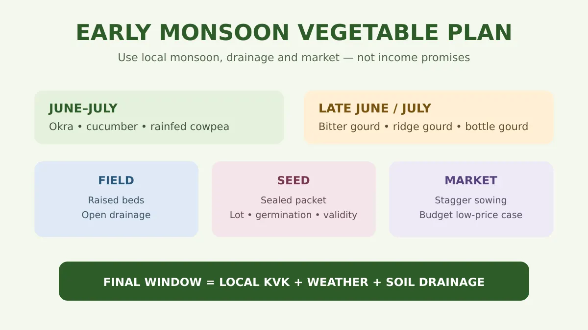 जून और शुरुआती मानसून में सब्जी चयन, drainage और बाजार योजना का crop calendar