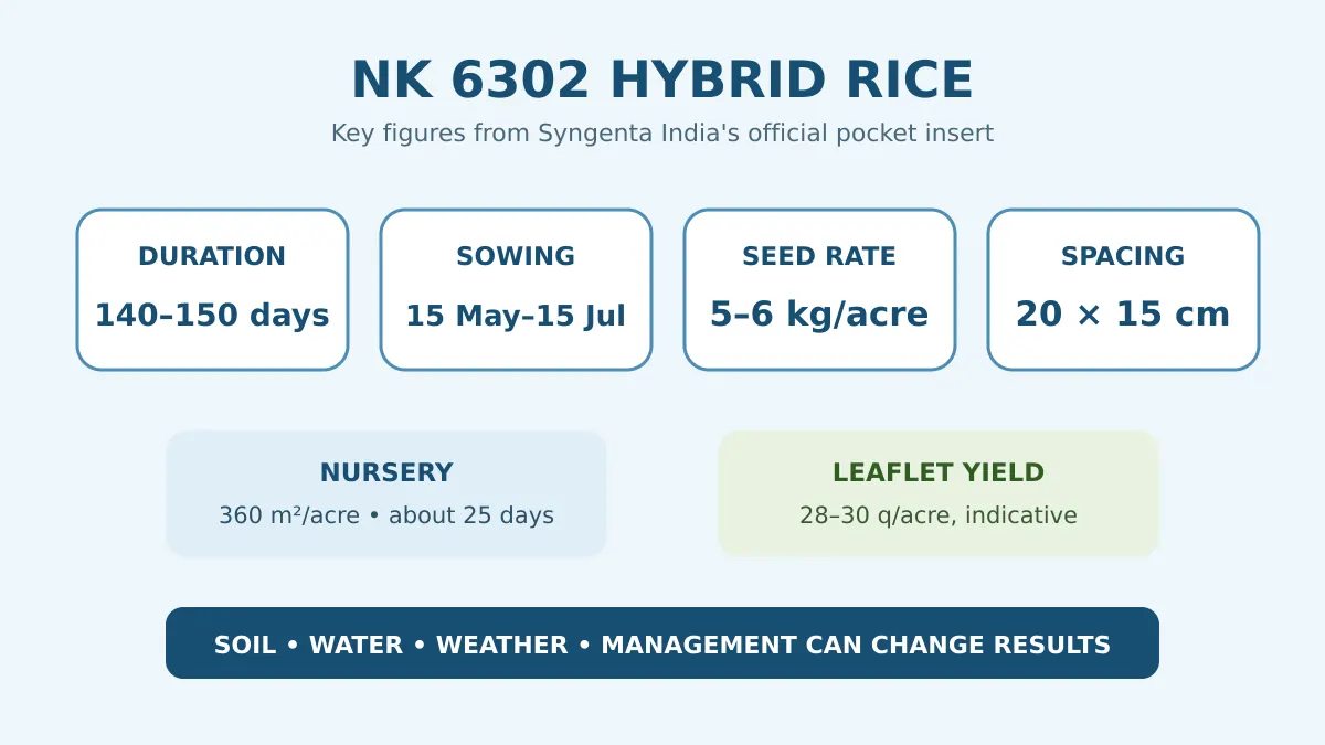Syngenta NK 6302 hybrid rice की अवधि, seed rate, nursery और spacing का आधिकारिक सार